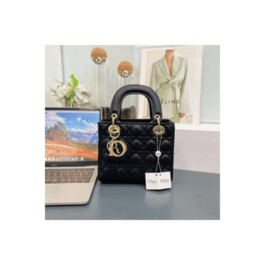 LADY DIOR MINI