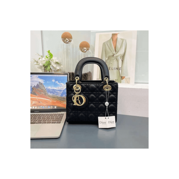 LADY DIOR MINI