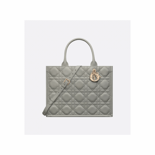BOLSO DIOR