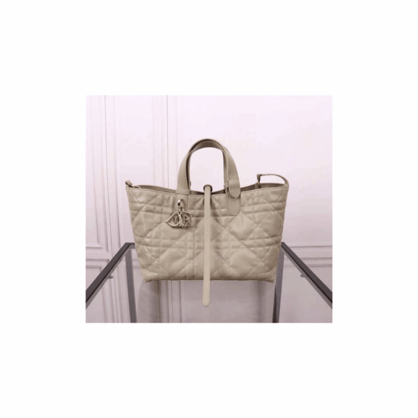 BOLSO DIOR