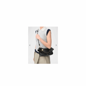 cartera loewe