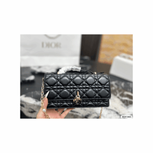 bag dior